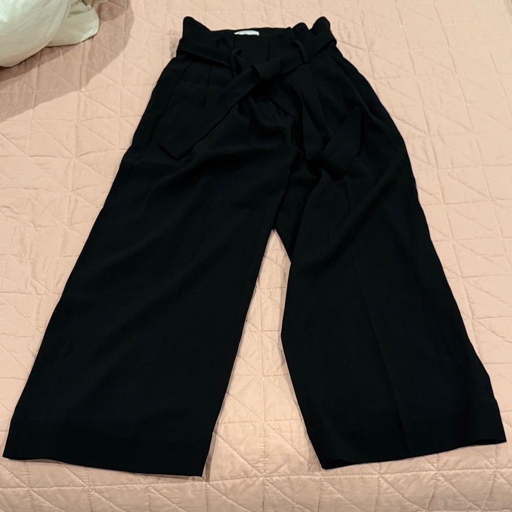 Aritzia Black High-Waist Wide Leg Paperbag Pants with Self-Tie Belt 0